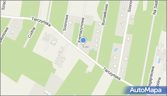 Czerkom Czerniak Hanna, Tarczyńska 39, Ojrzanów 96-321 - Przedsiębiorstwo, Firma, NIP: 8991176482