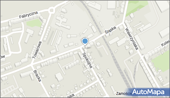 5991195495, Czesław Gibas 