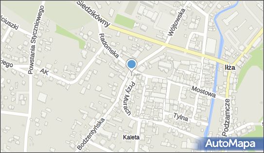 Czesław Ładak Ład - Mark, Radomska 15, Iłża 27-100 - Przedsiębiorstwo, Firma, NIP: 7960103659