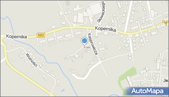 Czesława Jakubowska - Działalność Gospodarcza, Jeziorany 11-320 - Przedsiębiorstwo, Firma, NIP: 7391360225