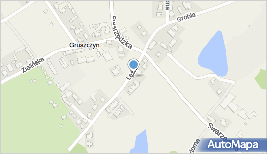 Czysty Dom, Leśna 3, Gruszczyn 62-006 - Przedsiębiorstwo, Firma, NIP: 7772378386