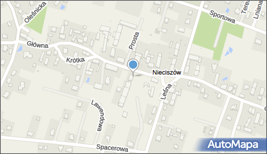 D R U K L A N D Studio Komputerowe Andrzej Migalski, Nieciszów 50 56-400 - Przedsiębiorstwo, Firma, NIP: 9111634422