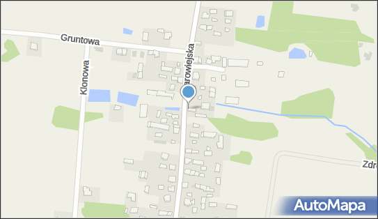 9661551753, D.S.Auto Dominik Sochoń 