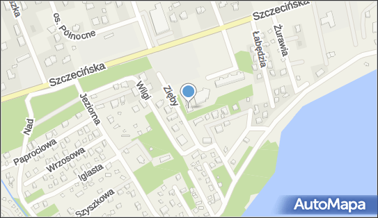 D z Consulting, ul. Czapli 3, Morzyczyn 73-108 - Przedsiębiorstwo, Firma, numer telefonu, NIP: 7541558987