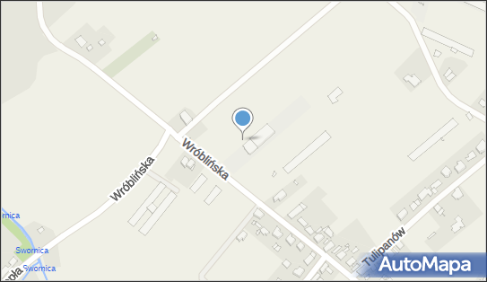 Daim Polska, Wróblińska 30a, Kępa 46-022 - Przedsiębiorstwo, Firma, numer telefonu, NIP: 8942831679