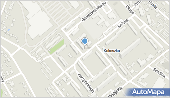 DAJA, Kolska 6a, Włocławek 87-800 - Przedsiębiorstwo, Firma, NIP: 8881781325