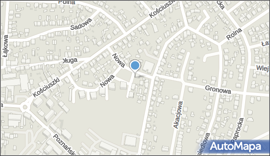 Dam-Fi Karolina Chalasz, ul. Nowa 16, Nowy Tomyśl 64-300 - Przedsiębiorstwo, Firma, NIP: 7871738959