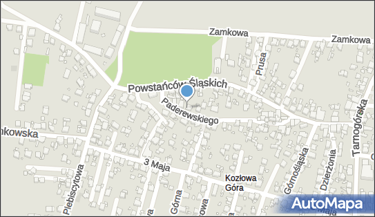 4980248477, Usługi Transportowe Damian Fritsch 