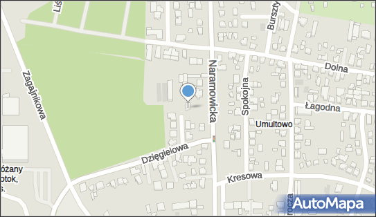 Damian Latuszek, Dzięgielowa 10, Poznań 61-680 - Przedsiębiorstwo, Firma, NIP: 7772850854