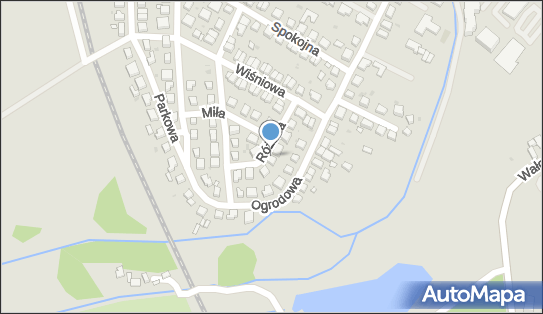 Damian Makowski, Różana 5, Oleśnica 56-400 - Przedsiębiorstwo, Firma, NIP: 9111926900