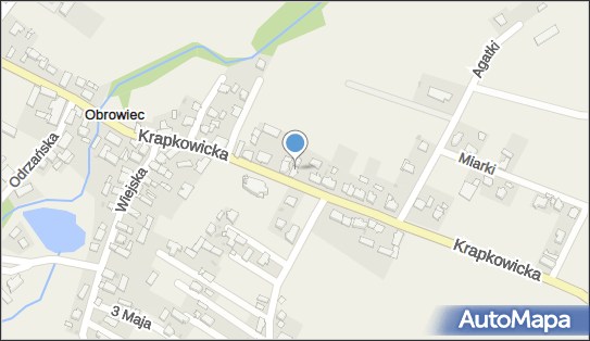 Damian Skrzypczyk - Działalność Gospodarcza, ul. Krapkowicka 32 47-320 - Przedsiębiorstwo, Firma, NIP: 7551764211