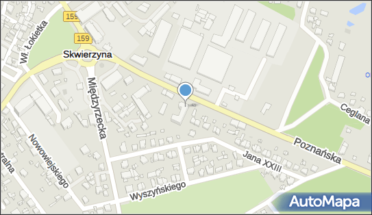 Dan Pol, Poznańska 8, Skwierzyna 66-440 - Przedsiębiorstwo, Firma, NIP: 5961021804