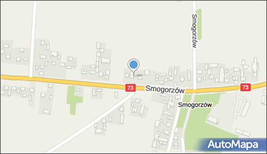 Dan-Trans Daniel Czapla, Smogorzów 46a, Smogorzów 28-130 - Przedsiębiorstwo, Firma, NIP: 1251099982