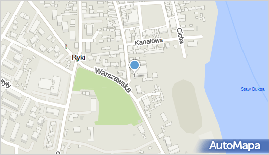 Danex, ul. Stanisława Poniatowskiego 6, Ryki 08-500 - Przedsiębiorstwo, Firma, NIP: 7161507452