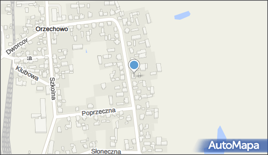 Daniel Jankiewicz Transport, Starowiejska 29, Orzechowo 62-322 - Przedsiębiorstwo, Firma, NIP: 7891651552
