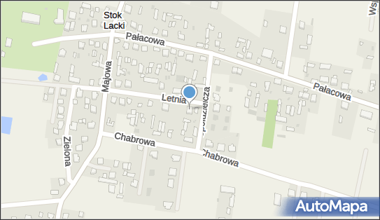 8212388763, Daniel Paczuski 