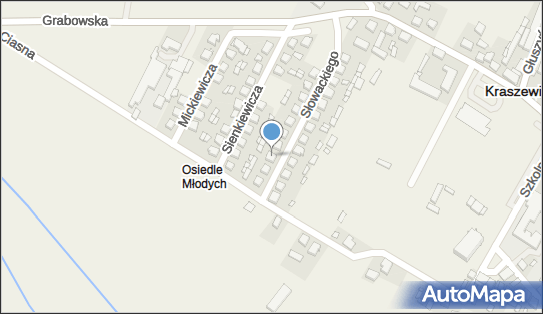 Daniel Pyrgiel, ul. Słowackiego 18, Kraszewice 63-522 - Przedsiębiorstwo, Firma, NIP: 5140282952