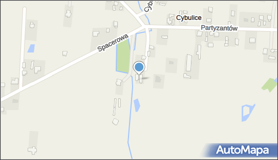 Dap Managment, ul. Partyzantów 57C, Cybulice 05-152 - Przedsiębiorstwo, Firma, NIP: 1182055242