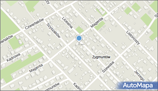 Darewit PL, Licealna 81, Warszawa 04-424 - Przedsiębiorstwo, Firma, numer telefonu, NIP: 5241561151