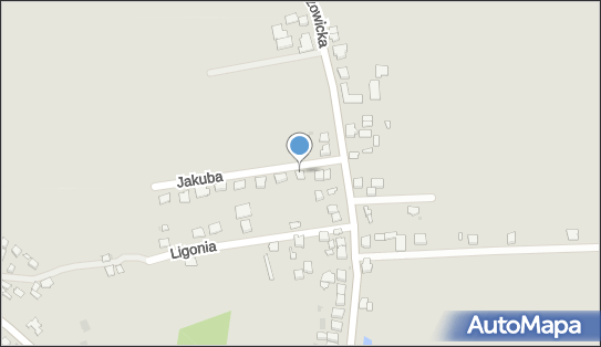 276522724, Dariusz Konieczny 