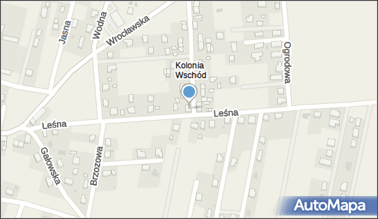 Dariusz Ostrowski, Wschodnia 16, Lutynia 55-330 - Przedsiębiorstwo, Firma, NIP: 8411011021