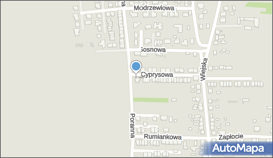 6431625541, Auto-Carrier Dariusz Szopa 