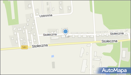 Dariusz Wioletta - Logistic Dariusz Świgoński, Stołeczna 226 05-083 - Przedsiębiorstwo, Firma, NIP: 5291520993