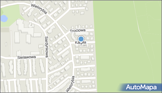 9671282728, Dawcy Dawid Cysewski 