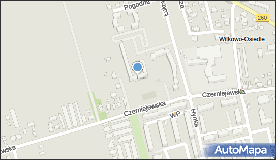 Dawidex, Czerniejewska 16a, Witkowo 62-230 - Przedsiębiorstwo, Firma, NIP: 7842037993
