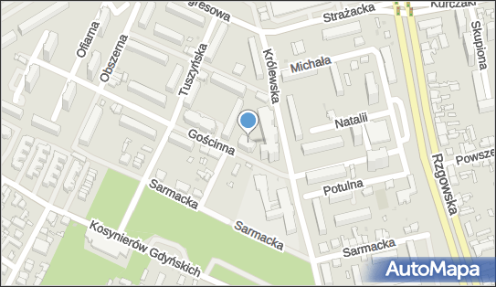 Dayzi Transport Taxi, Gościnna 12, Łódź 93-356 - Przedsiębiorstwo, Firma, NIP: 7291167049