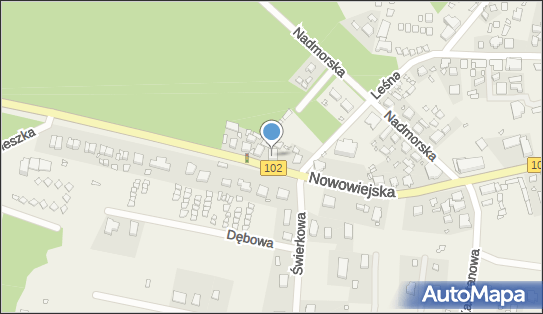 Dębicka Regina, Nowowiejska 31, Wisełka 72-513 - Przedsiębiorstwo, Firma, NIP: 8551013600