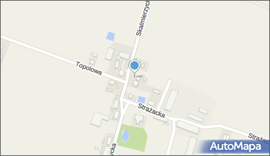 Decore Angelika Mitas, Skalmierzycka 48, Boczków 63-460 - Przedsiębiorstwo, Firma, NIP: 6182124922