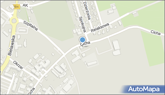 Dedal, Cicha 14, Dzierżoniów 58-200 - Przedsiębiorstwo, Firma, numer telefonu