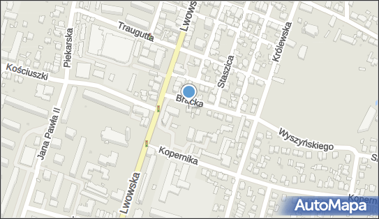 Defekt, Bracka 2, Tomaszów Lubelski 22-600 - Przedsiębiorstwo, Firma, NIP: 9211071444