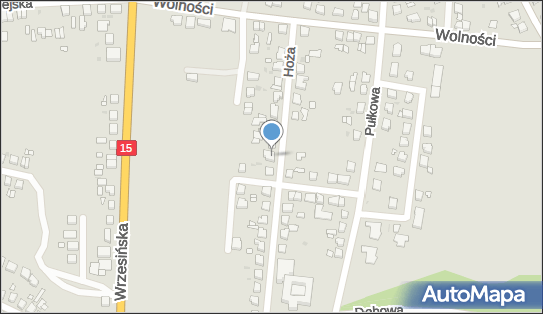 Dermis Bis Kaczorowscy S i J Sobieniowscy J i J, Hoża 16, Gniezno 62-200 - Przedsiębiorstwo, Firma, NIP: 7841009233