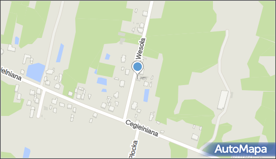 Detex Czesław Dymek, Wesoła 5, Zelów 97-425 - Przedsiębiorstwo, Firma, NIP: 7691083103