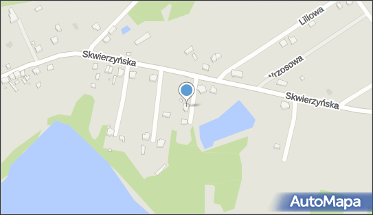 Development Division Artur Krupa Monika Gąsienica, Lubniewice 69-210 - Przedsiębiorstwo, Firma, numer telefonu, NIP: 4290068622