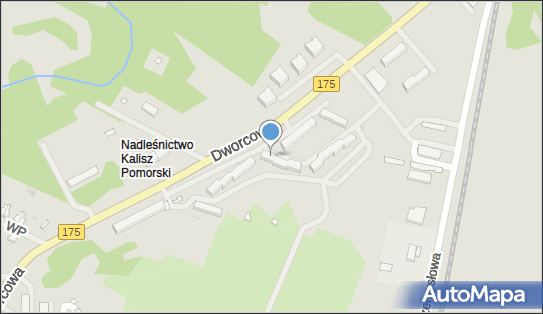 Dewiza Zygmunt Burdyński, Dworcowa 29, Kalisz Pomorski 78-540 - Przedsiębiorstwo, Firma, NIP: 6741013766