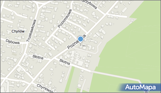 DIDI Fashion Maja Zarzeczna, ul. Poznańska 20c, Zielona Góra 65-001 - Przedsiębiorstwo, Firma, NIP: 9291561439