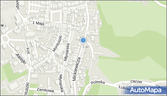 Dietetyk MGR Inż, ul. Adama Mickiewicza 21, Wałbrzych 58-309 - Przedsiębiorstwo, Firma, NIP: 9721012707