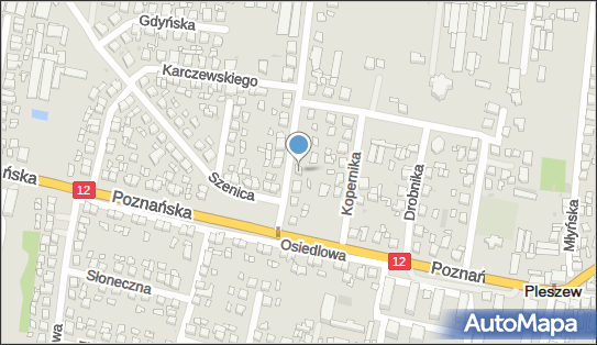 Distrimarket Andrzej Biadała, Zachodnia 8, Pleszew 63-300 - Przedsiębiorstwo, Firma, NIP: 6171552324