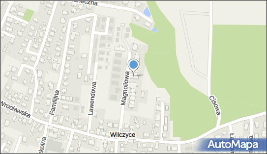 6111835395, Dąbrowski Paweł 