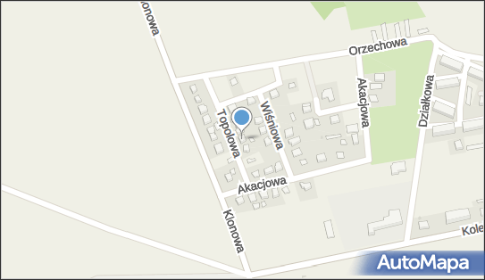 Dksj Wronkowska Dorota, ul. Topolowa 8, Żurawice 55-040 - Przedsiębiorstwo, Firma, NIP: 7381810431