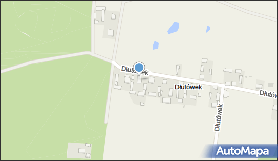 Dolina Koni Wiktor Śpionek, Dłutówek 12, Dłutówek 95-081 - Przedsiębiorstwo, Firma, NIP: 7311710836