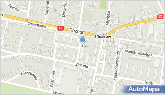 Dom Dziecka w Pleszewie, Osiedlowa 1, Pleszew 63-300 - Przedsiębiorstwo, Firma, numer telefonu