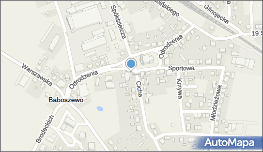 Dom Handlowy M w Bajkowscy, Odrodzenia 6, Baboszewo 09-130 - Przedsiębiorstwo, Firma, numer telefonu, NIP: 5671648831