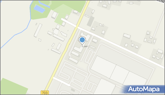 Dom Pomocy Społecznej Gostków, Stary Gostków 41, Stary Gostków 99-220 - Przedsiębiorstwo, Firma, numer telefonu, NIP: 8281024366