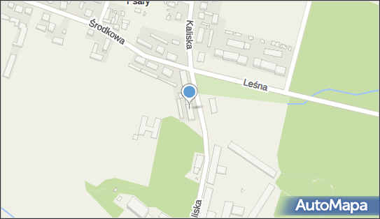 Dom Pomocy Społecznej w Psarach, Kaliska 5, Psary 63-405 - Przedsiębiorstwo, Firma, numer telefonu, NIP: 6221638945