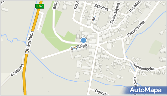 Dom Pomocy Społecznej w Ząbkowicach Śląskich, Szpitalna 3 57-200 - Przedsiębiorstwo, Firma, numer telefonu, NIP: 8871023540