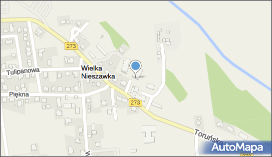 Dom Pomocy Społecznej Wielka Nieszawka, Toruńska 18 87-165 - Przedsiębiorstwo, Firma, numer telefonu, NIP: 9561824766